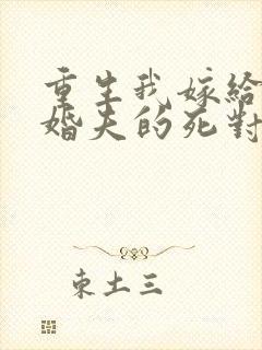 重生我嫁给了未婚夫的死对头