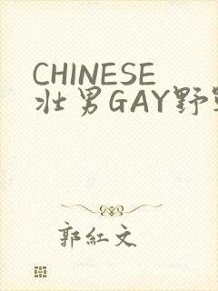 CHINESE壮男GAY野战强迫TUBE