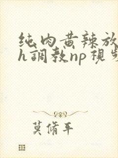 纯肉黄辣放荡高h调教np视频