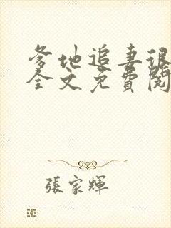 爹地追妻很疯狂全文免费阅读封面