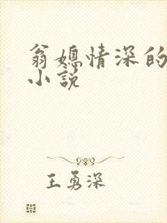 翁媳情深的经典小说封面