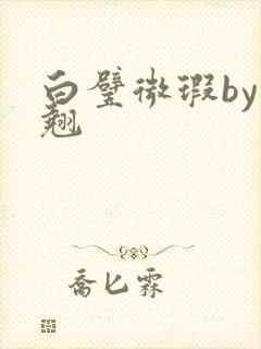 白璧微瑕by连翘