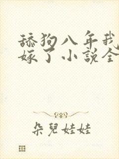 舔狗八年我转身嫁了小说全文免费阅读正版封面