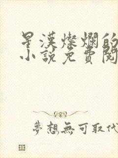 星汉灿烂的原著小说免费阅读
