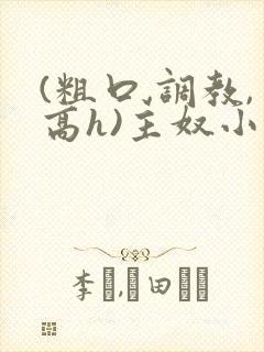 (粗口,调教,高h)主奴小说封面