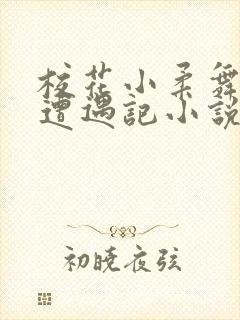 校花小柔舞蹈室遭遇记小说