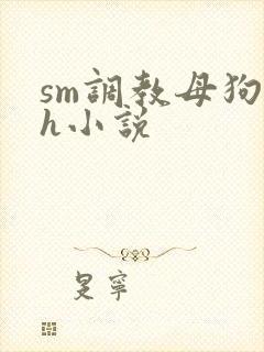 sm调教母狗高h小说
