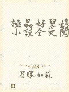 极品好儿媳苏媚小说全文阅读