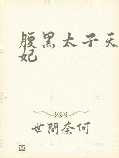 腹黑太子天降萌妃封面