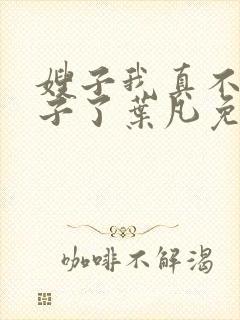 嫂子我真不是傻子了叶凡免费阅读全文小说