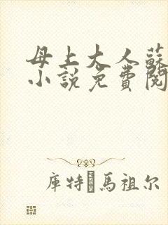 母上大人苏文婧小说免费阅读全文