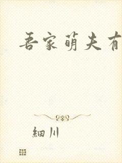 吾家萌夫有点甜封面