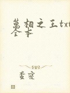 万相之王txt全本