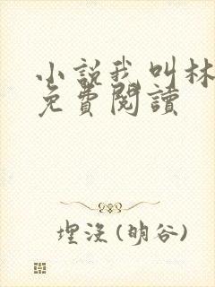 小说我叫林小喜免费阅读