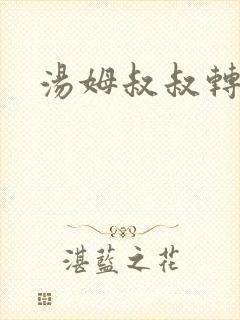 汤姆叔叔转接口