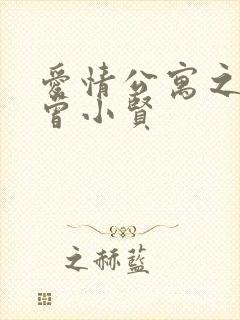 爱情公寓之极品曾小贤