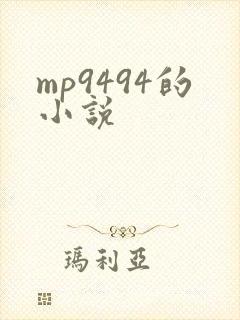 mp9494的小说封面