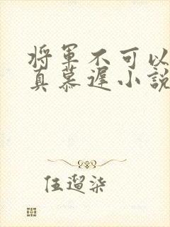 将军不可以魏云真慕迟小说笔趣阁封面