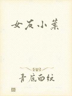女友小叶