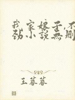 我家娘子,不对劲小说无删减