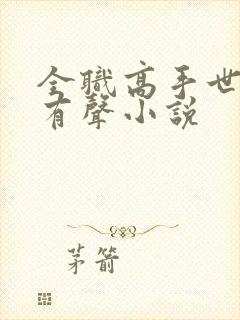 全职高手世锦赛有声小说