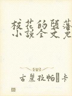 校花的堕落日记小说全文免费阅读