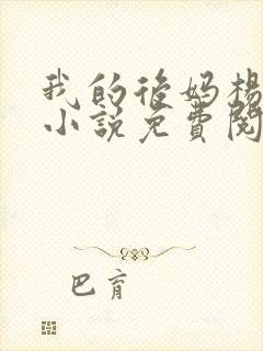 我的后妈杨美琳小说免费阅读