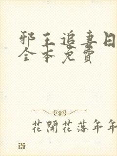 邪王追妻日日忙全本免费