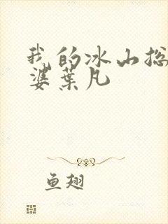 我的冰山总裁老婆叶凡