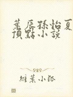 叶辰孙怡夏若雪顶点小说