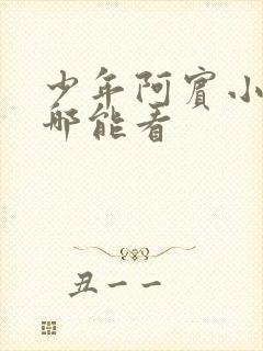 少年阿宾小说在哪能看封面