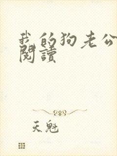 我的狗老公免费阅读