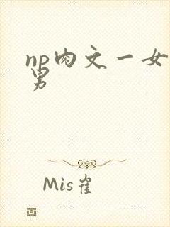 np肉文一女多男