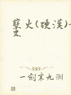 孽火(硬汉)今又
