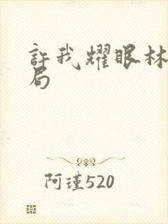 许我耀眼林浩结局