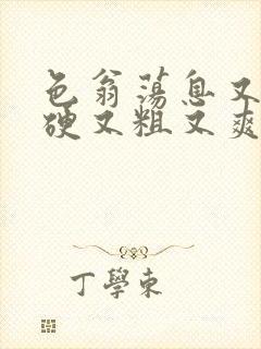 色翁荡息又大又硬又粗又爽电影