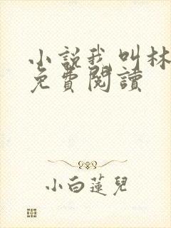 小说我叫林小喜免费阅读