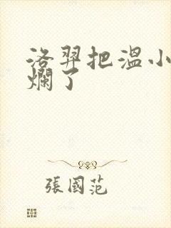 洛羿把温小辉做烂了封面