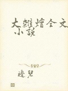 大杂烩全文阅读 小说