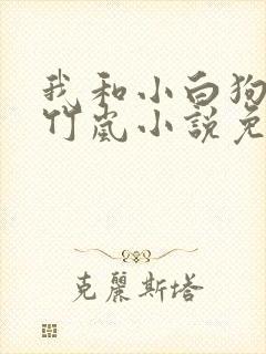 我和小白狗狗陈竹岚小说免费阅读