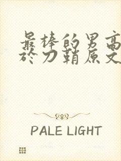 最棒的男高中生于刀鞘原文阅读