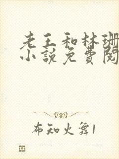 老王和林珊珊的小说免费阅读全文