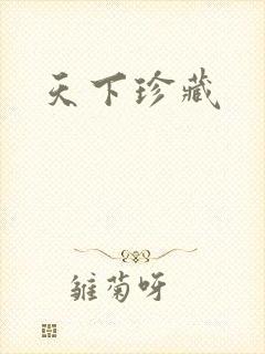 天下珍藏