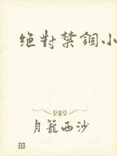 绝对禁锢小说