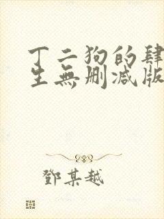 丁二狗的肆意人生无删减版封面