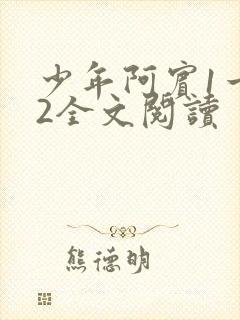 少年阿宾1一72全文阅读封面