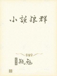 小说狼群封面