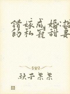 错嫁成婚:总裁的私宠甜妻 短剧