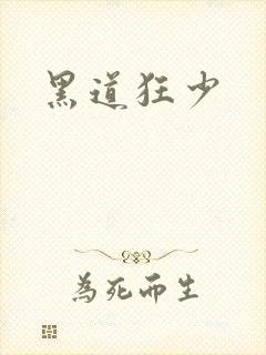 黑道狂少封面