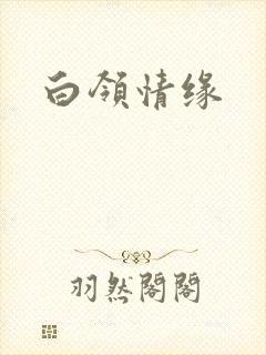 白领情缘